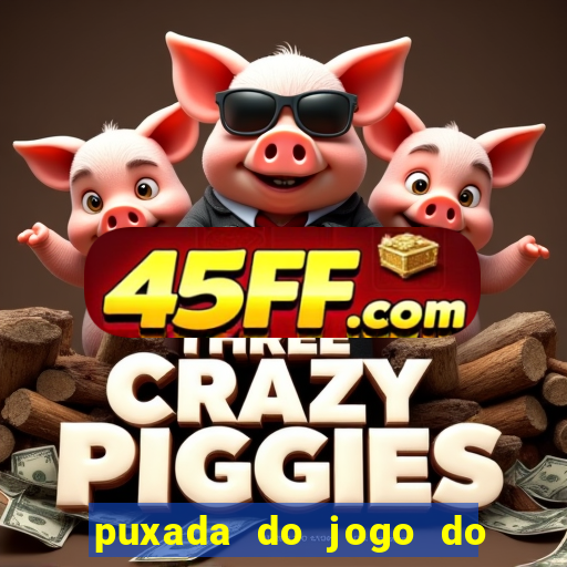 puxada do jogo do bicho da sueli